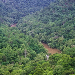 Big South Fork country